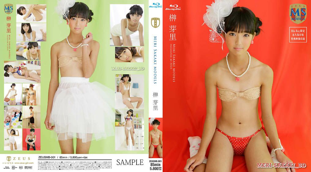 ZEUSMB-001 Meri Sakaki 榊芽里 Meri Sakaki Models ZEUSM-001.jpg